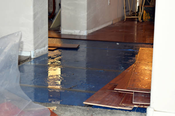 Professional Burst Pipe Cleanup technician working in Walsh, IL